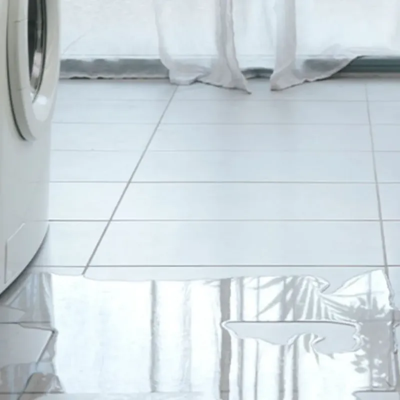 Appliance Leak Cleanup in Grove Hill, AL